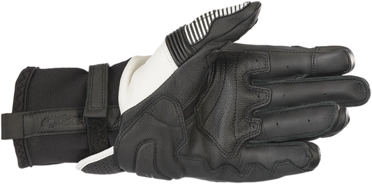 ALPINESTARS GPX V2 Gloves - Black/White - XL 3567219-12-XL