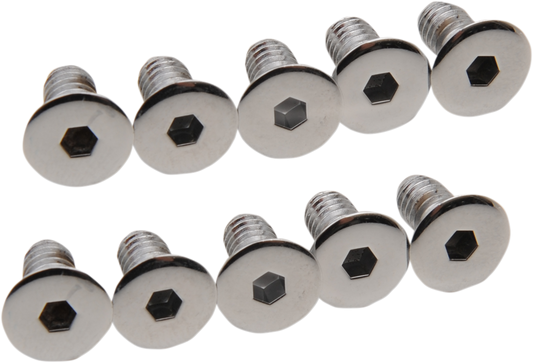 DRAG SPECIALTIES Derby/Inspection Cover Screws MK157