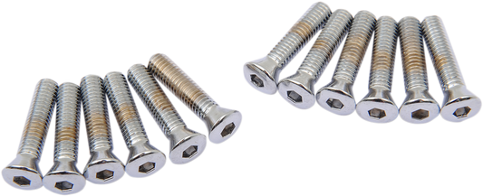 DRAG SPECIALTIES Socket Head Camshaft Cover Bolts - Big Twin '36-'69 MK154