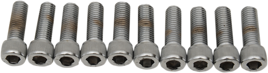 DRAG SPECIALTIES Smooth Socket Head - 1/4"-28 x 5/8" MPB209S